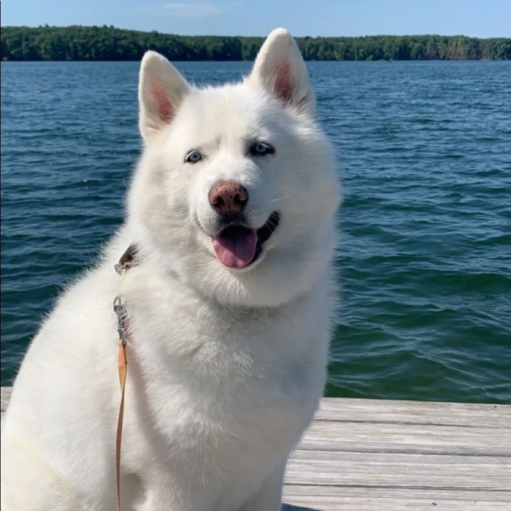 Affordable stylish clothing sold here!!